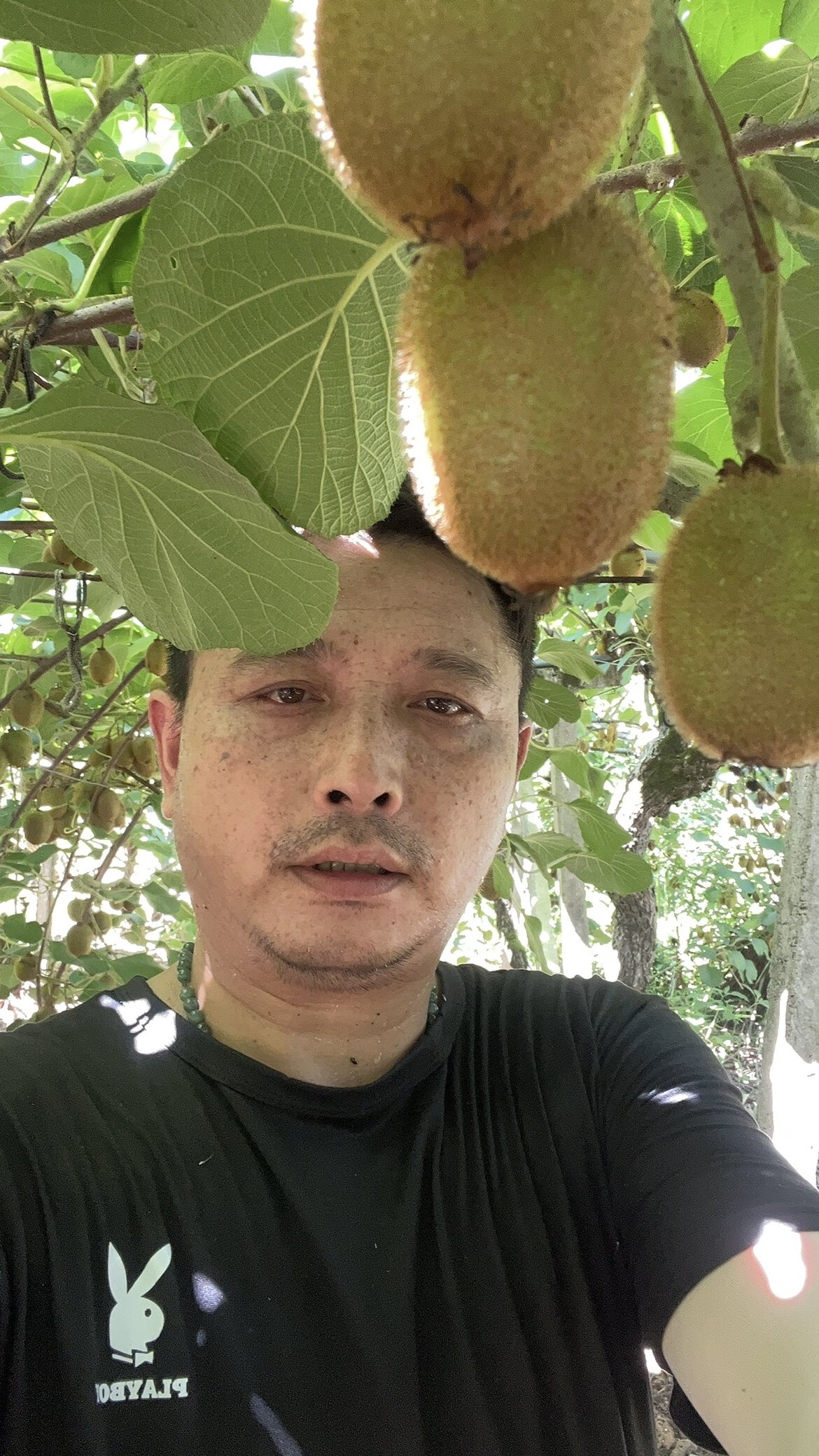 黑妞果妹舌尖上的鲜果的LOGO