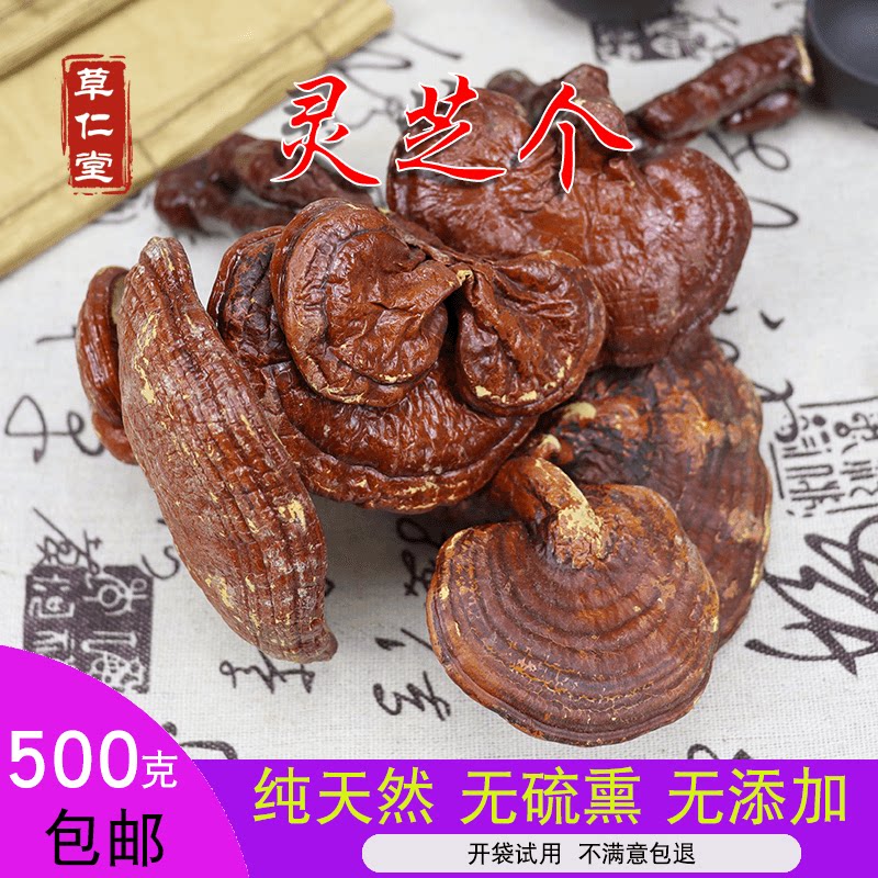 Yunnan Chinese herbal medicine Lingzhi red Ganoderma lucidum Red Ganoderma 500g