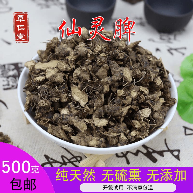 Yunnan wild traditional Chinese medicine herba root 500g Xianling spleen root herba male tea wine
