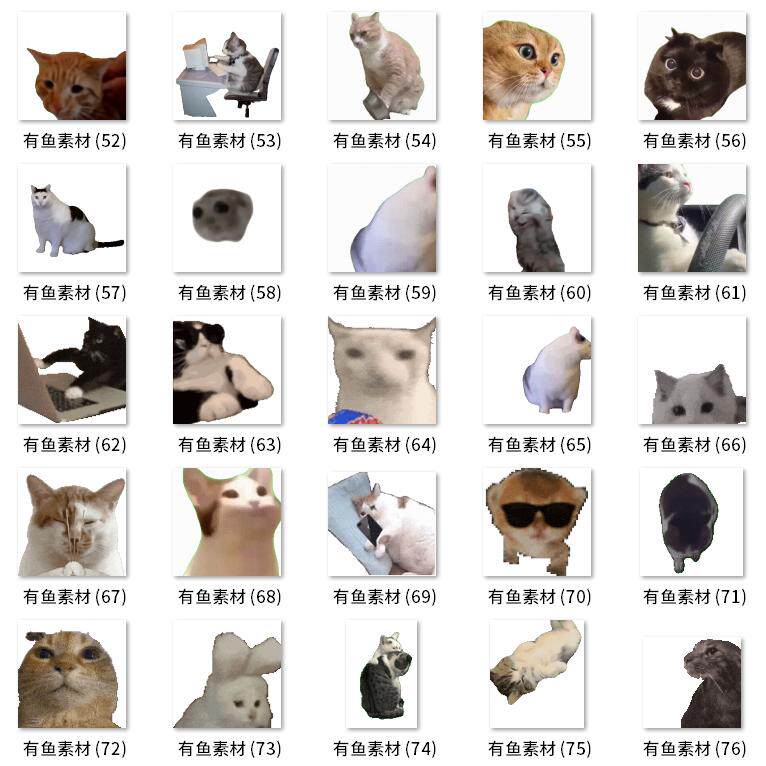 245个神经猫meme表情包，让你的微信群聊瞬间变成欢乐海洋🎉 -api-淘宝好物网