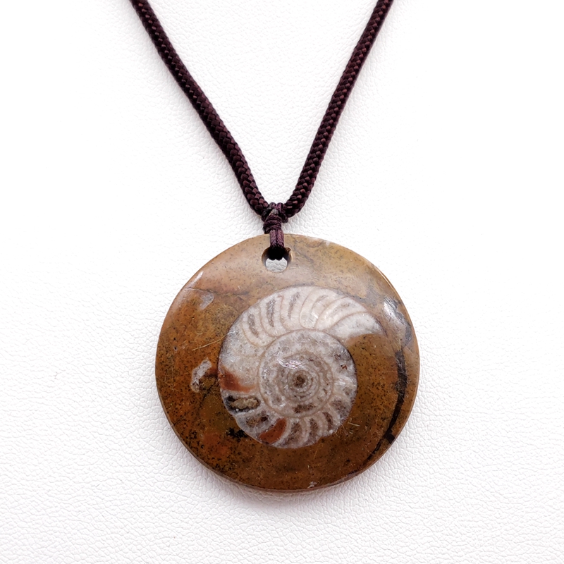 天然モロッコ古代海洋生物アンモナイト化石直角石オリジナル石ペンダント地質学教育標本