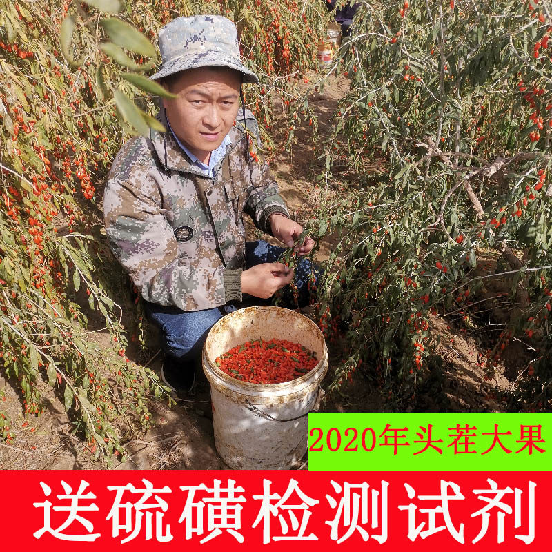Wolfberry premium 500g Ningxia wolfberry Qinghai no-wash hair stubble wolfberry tea male kidney red wolfberry structure wolfberry