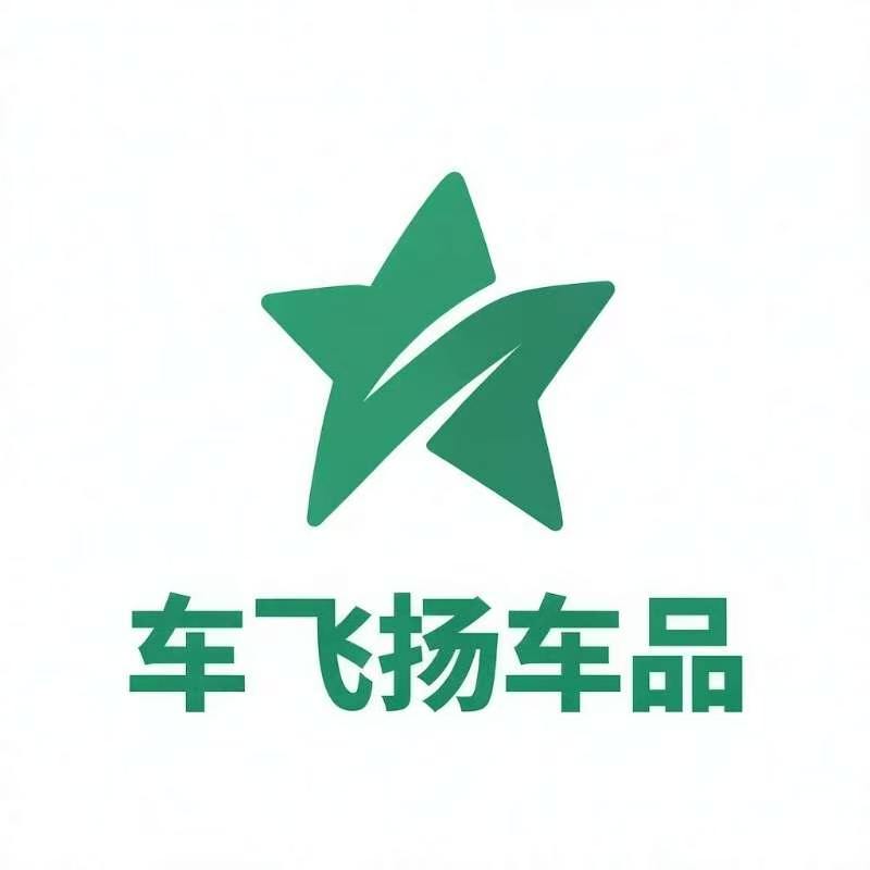 车飞扬车品