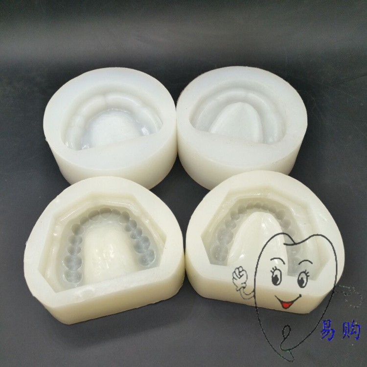 牙科 有牙阴模 无牙颌阴模 制标准石膏牙列牙齿模型 排牙基托模具