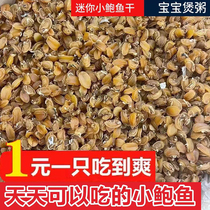 Dalian Dried Abalone Light Dried Goods Seafood Buddha Jumps Over the Wall Original Porridge and Zongzi