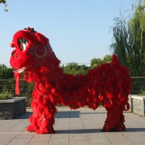 Lion dance props Wake lion South lion Australian wool Lion Standard adult wake lion light lion Foshan Lion Dance dragon