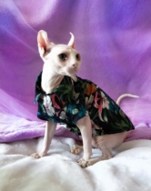 Micro-service private shop Sphinx hairless cat clothes German pet dog New ins tide clothing hemp shirt cool handsome