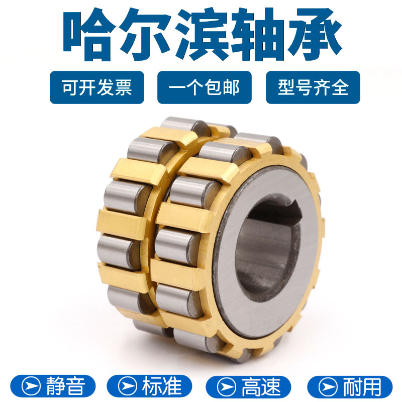 Eccentric bearing 610 17 YSX 610 21 YRX 610 2529 YSX 610 35 YRX