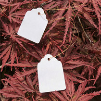 Paper gardening tags tags seed tags plant and flower tags scientific research experiment tags