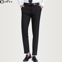 Biography Areaks Pants Mens New Casual Pants Spring Summer Workout Business 90% Pants West Pants Mens Striped Casual Long Pants