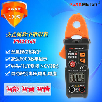 Peakmeter Huayi Pm2116S High-Precision 100A Ac/Dc Digital Clamp Multimeter Fully Automatic Meter