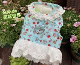 SPOT JR PET TEDDY YORKSHAM PONY STAL DOG ​​-СТИЛА -Лучшая веревка TOTOR BACK BACK