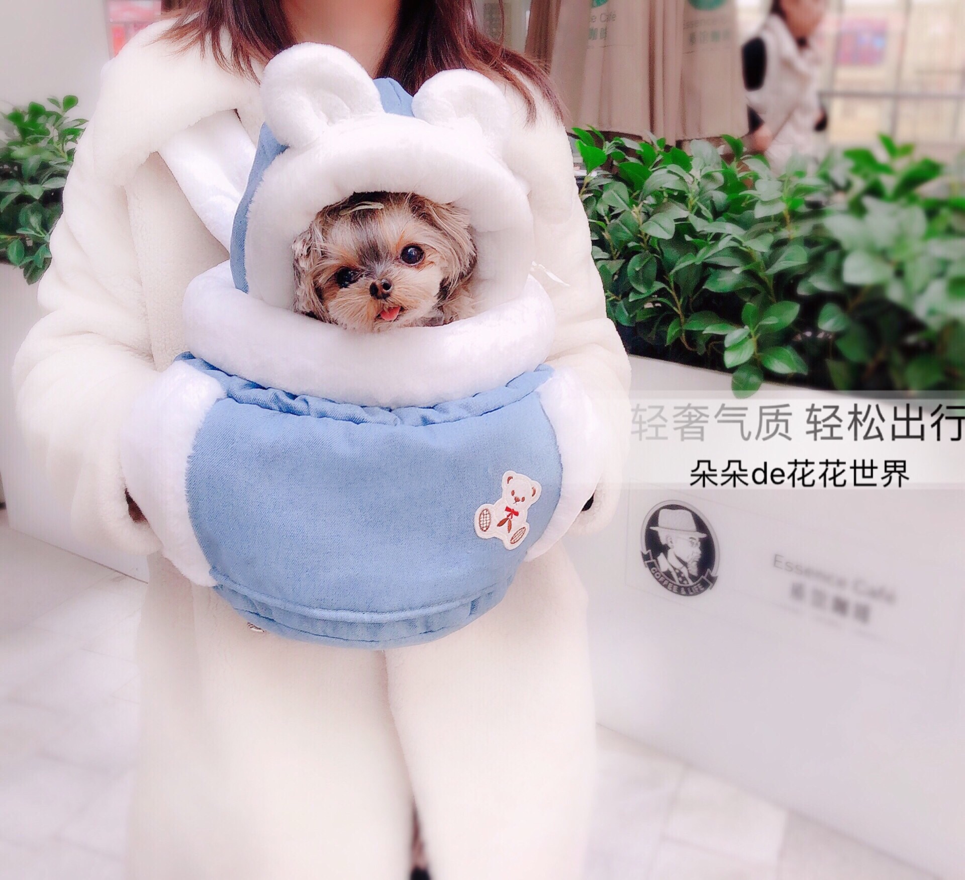 Pet Dog Tedyjok Summer Pony Winter Double Shoulder Bag Outgoing Bag Chest Front Bag Windproof Comfort Thickened Warm