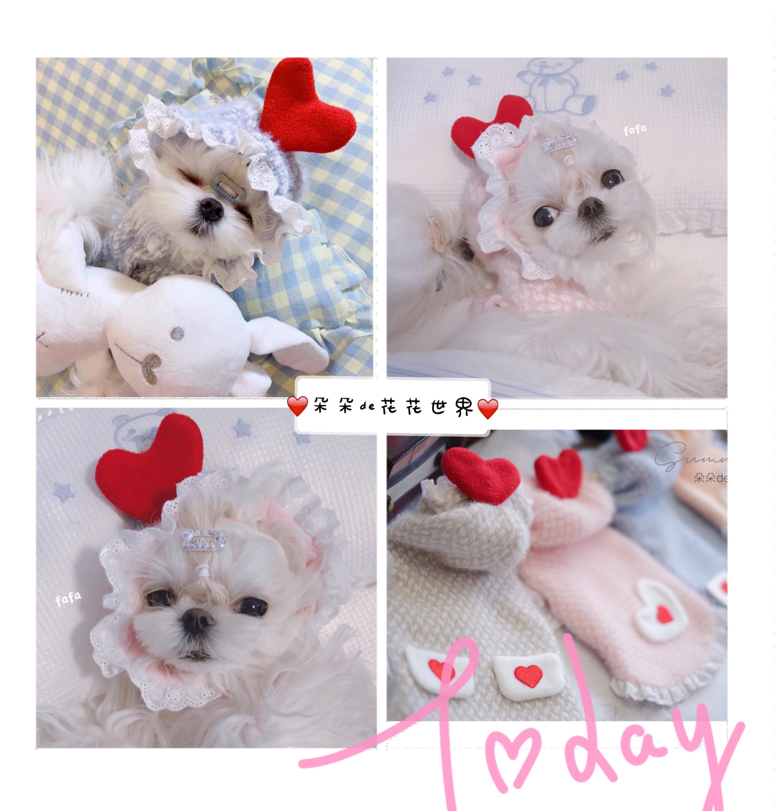 J New Autumn Winter Pet Dog Clothes Small Dog Cat Teddy Bou Mejok Summer Little Marquee and Fragrant Breeze Jacket