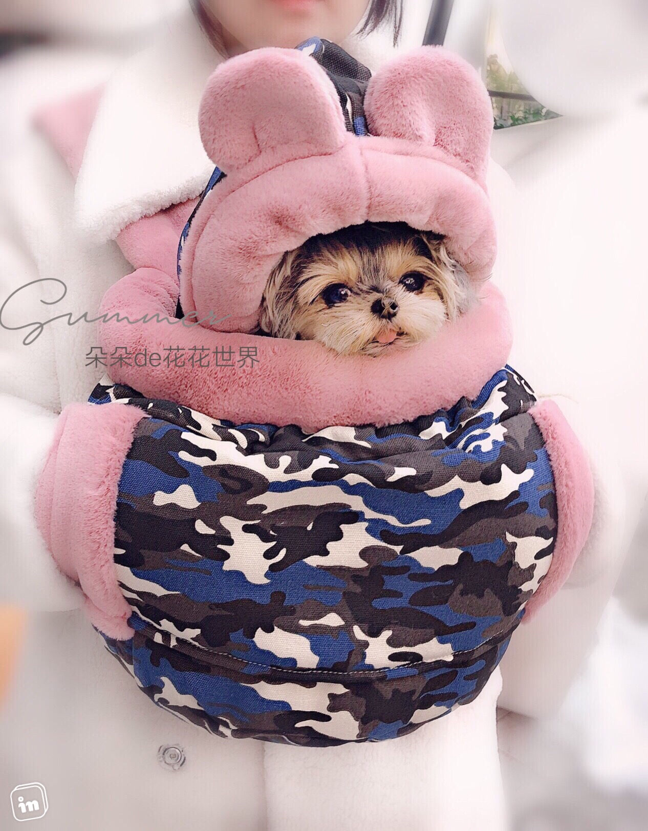 J pet dog Teddy Yorkshire pony winter backpack outing bag chest bag thickened and velvet warm