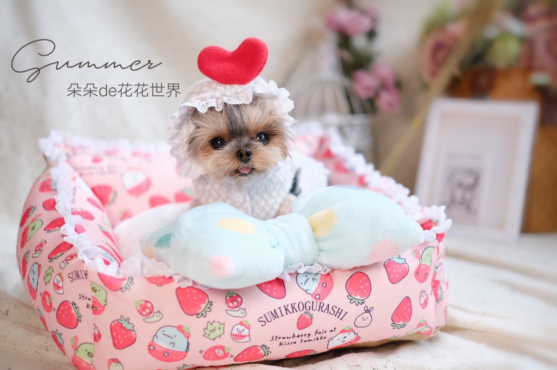 Fully removable and washable thickened padded pet cat dog Teddy Yorkshire kennel cat litter cute deep sleep nest