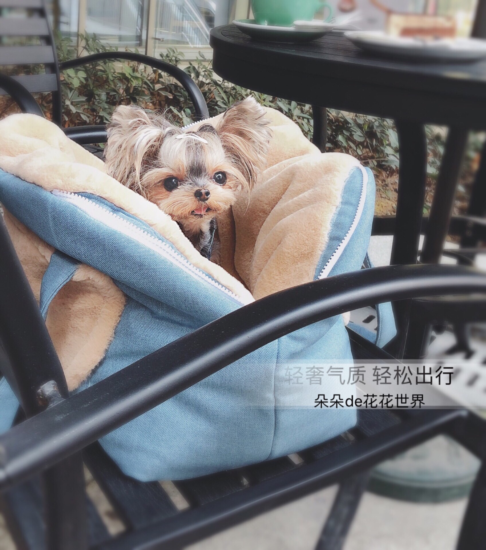 Handmade Korean Version Pet Cat Dog Tedyjokha Cashless Cat Autumn Winter Nest Dual-use Out Bag Thickened Warm