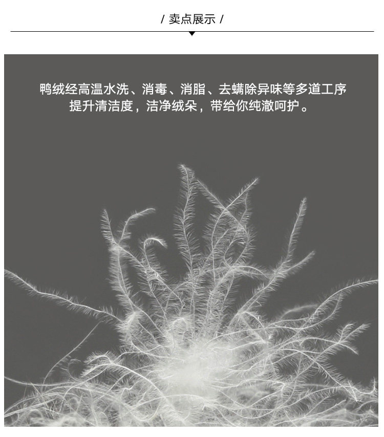 Blouson homme MAXWIN - Ref 3120998 Image 8