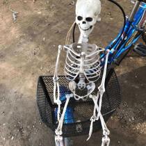 Halloween Horror Movable Skull Skeleton Halloween Props