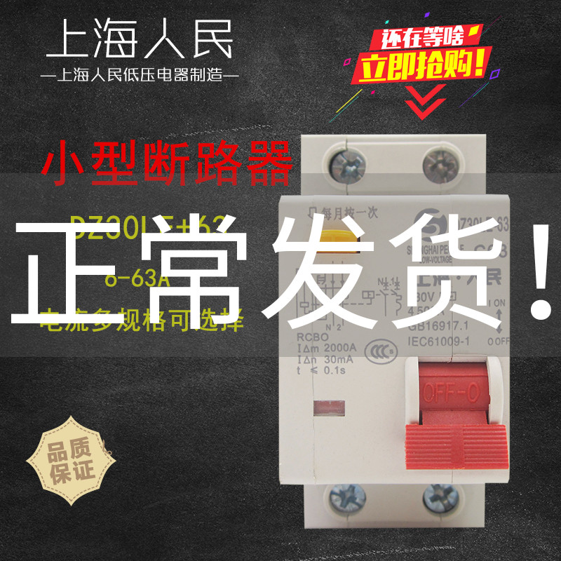Earth leakage protection breaker DZ30LE-63 small empty open with earth leakage 16A25A 1P N home leakage protection switch
