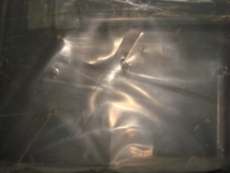 Thermo Fisher Dionex ion chromatography consumables accessory ASSY PAL NINT-CPU V3 0