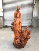 Log natural tree root root Large wood carving mahogany root carving free Guanyin Buddha statue home living room office decoration