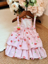A pack of potato chips handmade pet suspender floral cake skirt can be customized for both cats and dogs