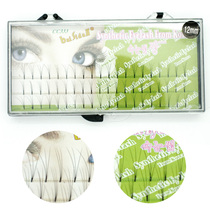 Natural plantation Graft False Eyelash A bunch of 6 hair natural soft and lifelike 8 10 12