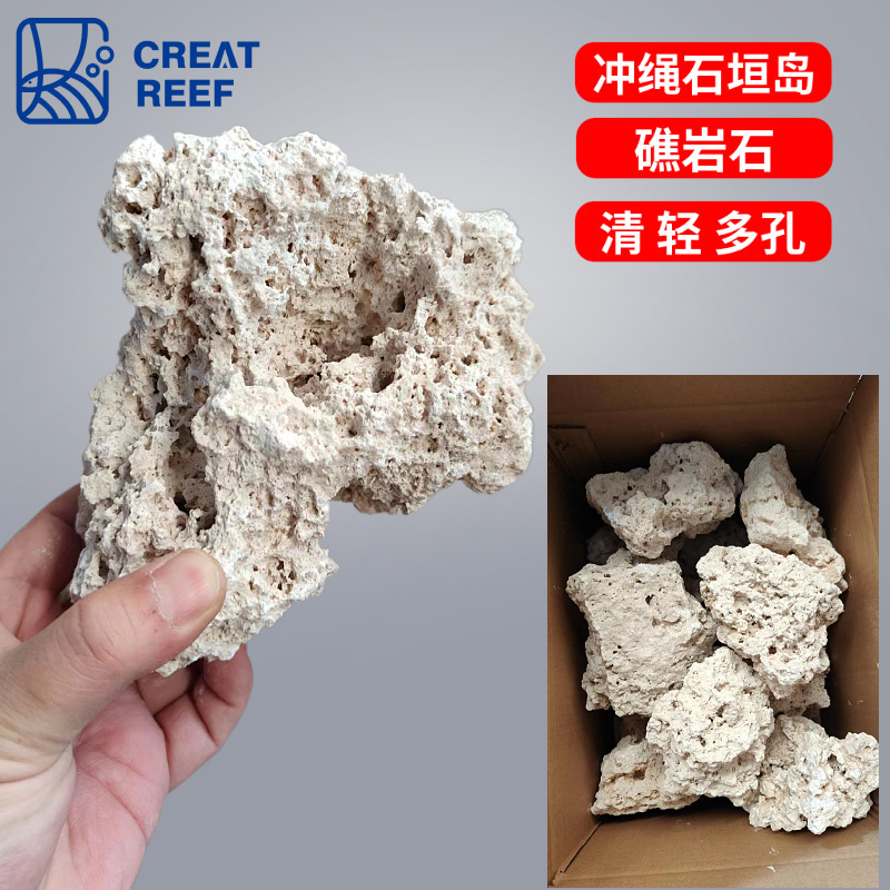 Japanese Artificial Reef Rocks for Aquarium Landscaping, Okinawa Ishigaki Island Dry Reef Rocks, Algae-Free Live Rocks, Java Rocks