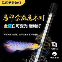Ma Yin Magic Lamp New Magic Lamp Arowana Aquarium Fish Tank Anti-Dive LED Full Spectrum Variable Light Enhancement Lamp