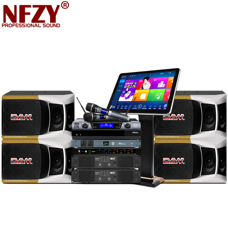 DAM DDS-890JX karaoke sound suit Family home KTV speaker professional entertainment bungaloa special