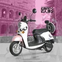 Green energy electric car Eurocolor sunscreen cushion cover Anti-UV seat cushion cover heat insulation cartoon Four Seasons protective sleeves