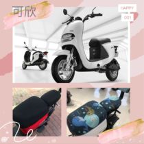 Green Canon electric vehicle Hingsun cushion cover Anti-UV heat insulation cartoon Four Seasons protective sleeves