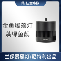 Lan Bao algae lamp goldfish tank sun-drying moss-raising lamp full spectrum high light efficiency fast algae growth high display and bright colors