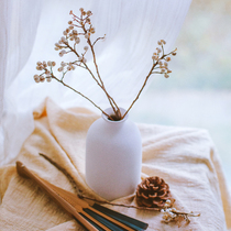 Small white fruit dried flower DIY Christmas decoration natural tallow fruit tree tree props