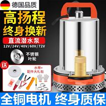 Agricultural DC Submersible Pump 12V24V48V60V72V Watering DC Pump DC Pump Rod Battery Electric Car Pump