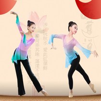 Childrens new classical dance practice clothes Chinese wind and water sleeves dance gauze clothes body rhyme clothes national performance clothes gradient ~
