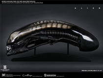 (SOLD) CoolProps X Sideessow 903024 Alien A1 skull