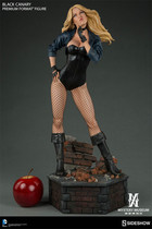 (SOLD) Sideshow 300287 DC Raptor Squad Black Canary PF full body portrait