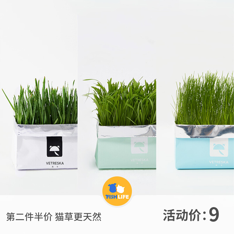 Yusheng Shop Uncarded Lazy Cat Grass Seeds Potted Plant Wheat Grass Seeds Catnip Depilled Hair Snacks