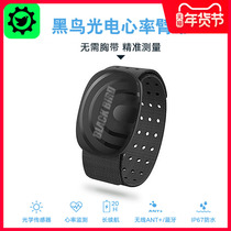 Blackbird HR03 heart rate with bicycle riding heart rate monitoring running swimming fitness arm Bluetooth ANT