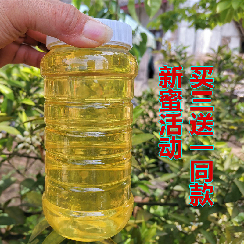 Citrus honey farmhouse self-produced fresh and ripe orange honey orange nectar with 2 catties of orange blossom honey
