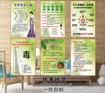 Beauty salon sea buckthorn Buckthorn Platoon of Damp Drainage Acid Health Preservation Advertising Wall Chart Cold And Wet Grade Poster Custom
