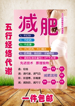 Chamch Five Rows Energy Metabolism Wall Chart Weight Loss Shaping Poster Promotional Painting Exhibition Board Wall Stickup KT Board