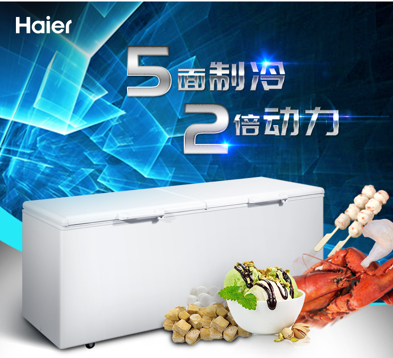 Haier Haier BC BD-1028T Commercial Home Large Freezer Refrigerated Chilled Conversion Freezers Frozen Meat Fish