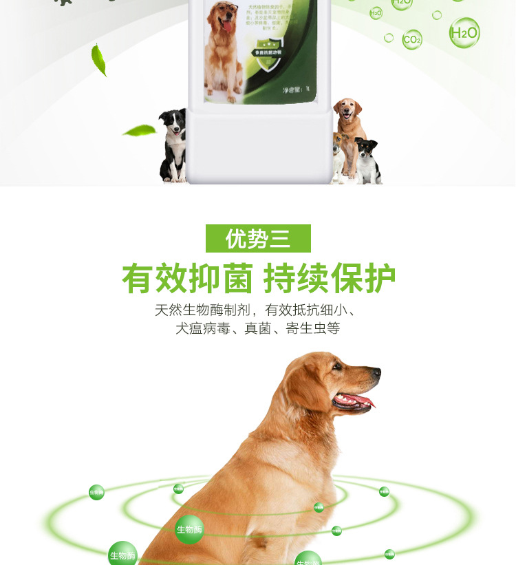 Chất khử trùng đậm đặc cho thú cưng 1000ml Chó mèo Golden Retriever Chất khử mùi kháng khuẩn môi trường Chất khử trùng khử trùng - Cat / Dog Beauty & Cleaning Supplies Con lăn tĩnh điện ChomChom Roller.