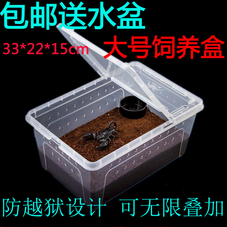 Pet feeding box Kowloon worm live reptile feeding box Spider Scorpion palace guard lizard Turtle horned frog feeding box