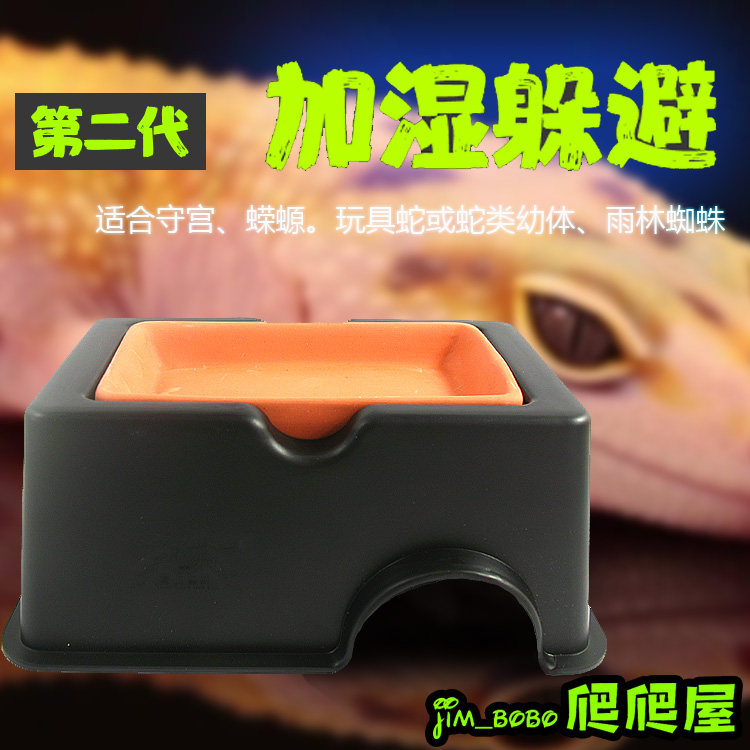 Reptile reptiles BAO WELN The palace plus wet shelter from the Hainan cave shelter from the spider scorpion Snake Cave plus wet coves