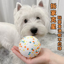 Dog kitty toy with biting elastic ball real heart ball solstit and not crappy and explosive balls Kim Mao Teddy pet toy