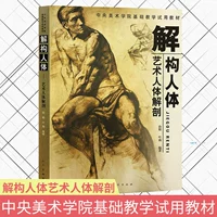 Физиологичные художественные базовые учебные пособия, анатомия, строение человеческого тела, обучение